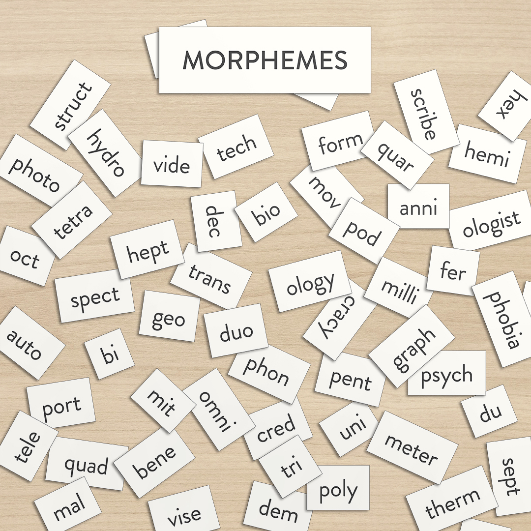 What are Morphemes & Fun Facts - Brainspring Store