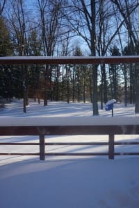 Orton Gillingham tutor snowy backyard