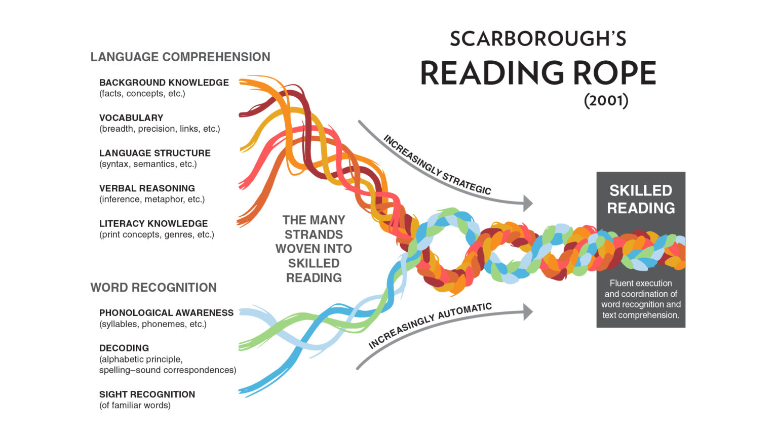 The Orchestra Of The Reading Rope Harmony Brainspring Store   Scarboroughs Reading Rope Social Media 1536x865 